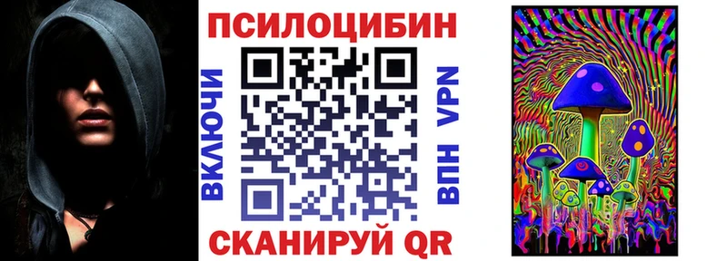 Купить где  Пикалёво  Галлюциногенные грибы Psilocybine cubensis 